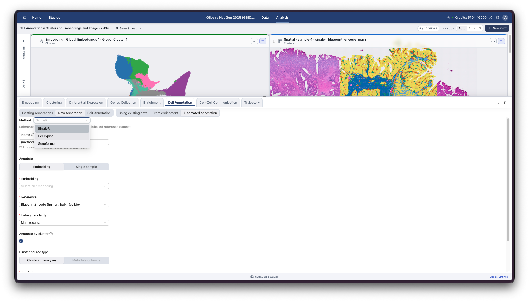 Cell Annotation, step 6: Choose an automated method
