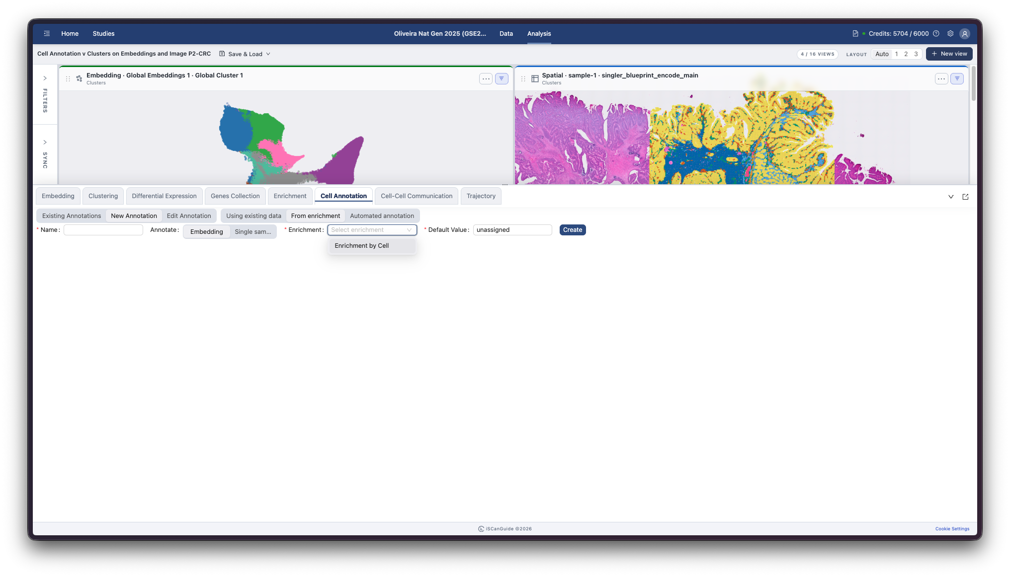Cell Annotation, step 5: Label groups from enrichment