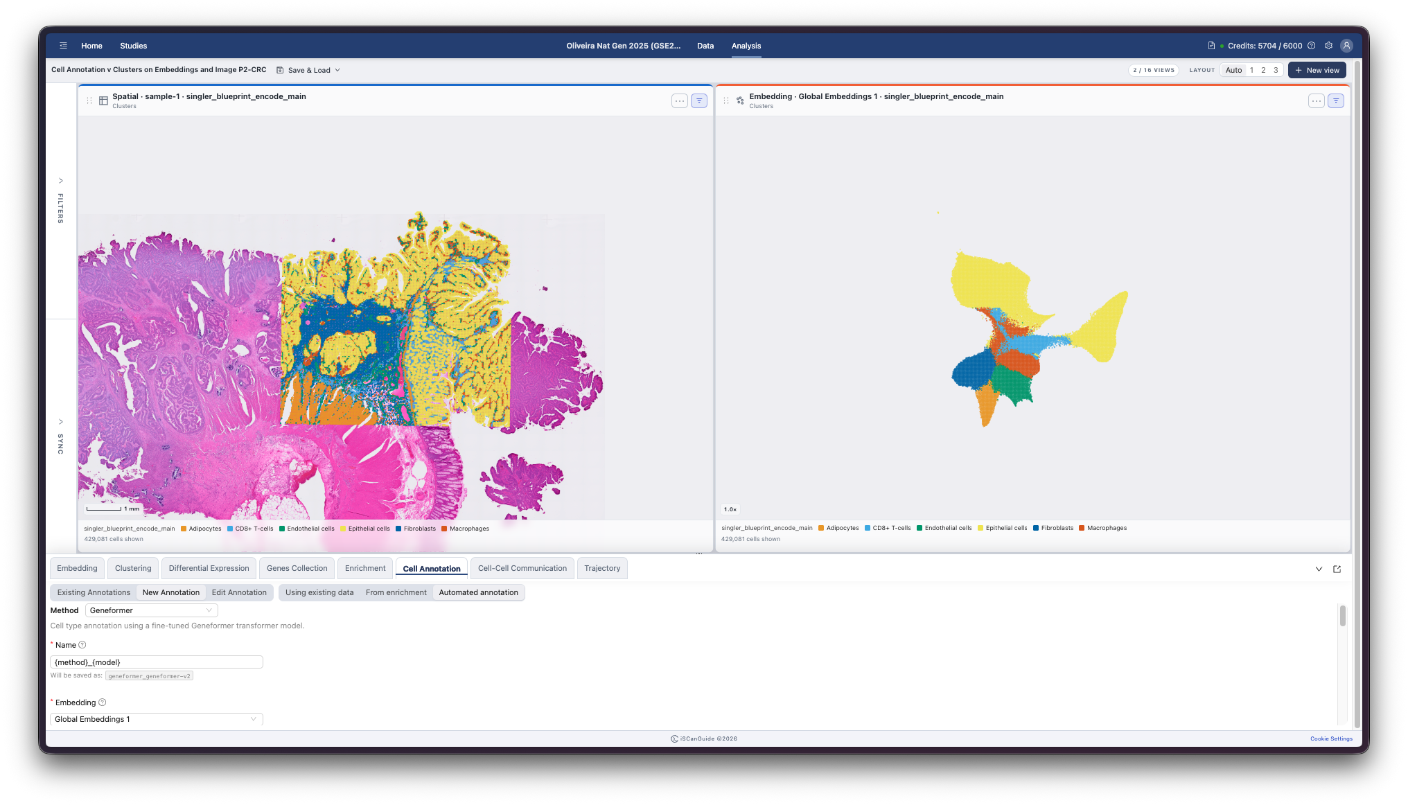 Cell Annotation, step 12: Results and management