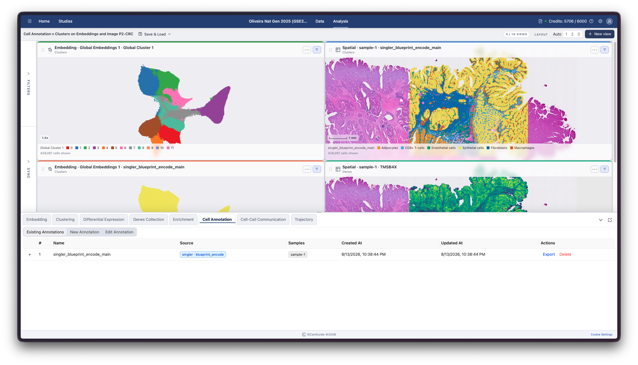 Cell Annotation, step 1: Open the Cell Annotation tab