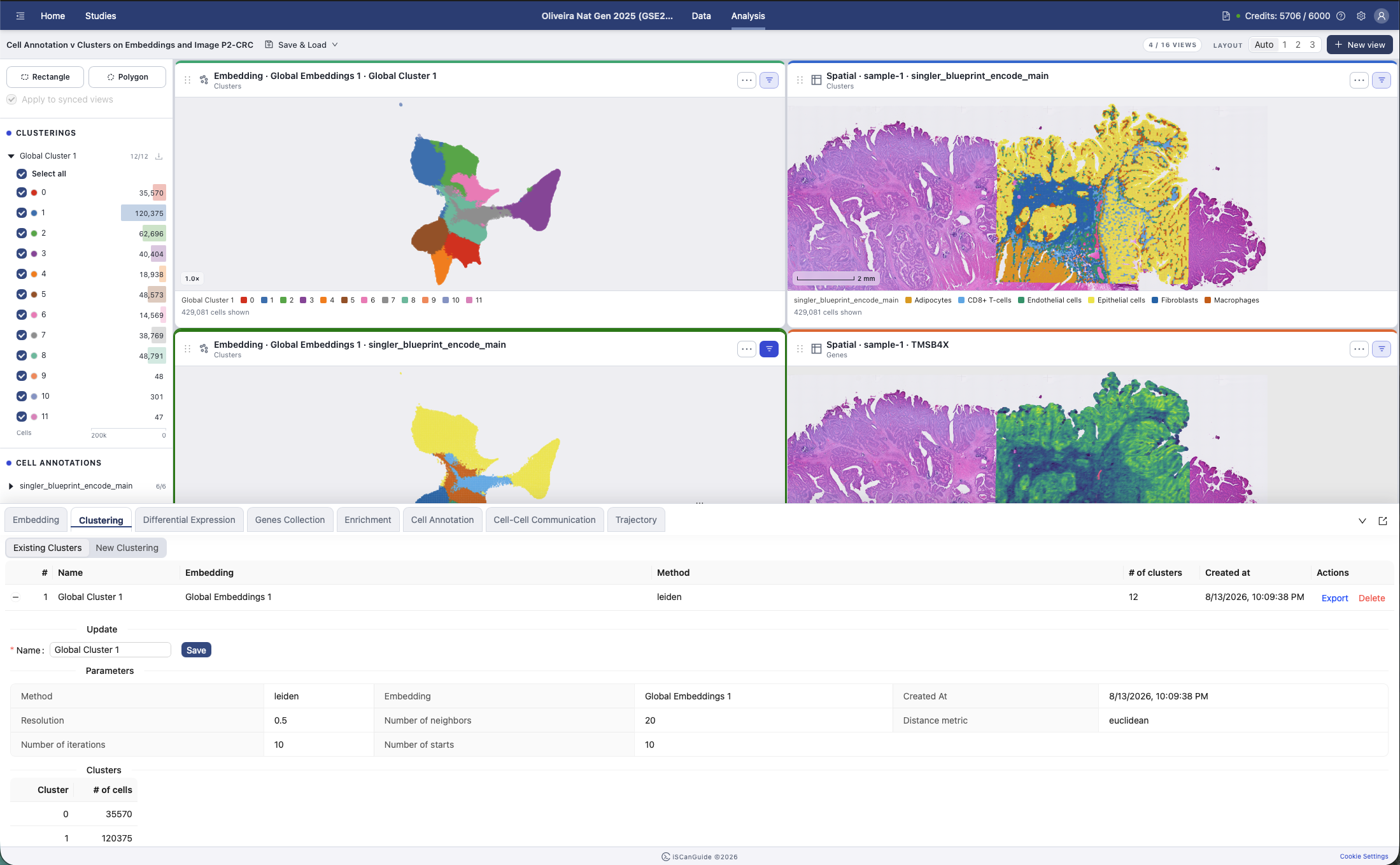 Clustering, step 7: Visualize the clusters