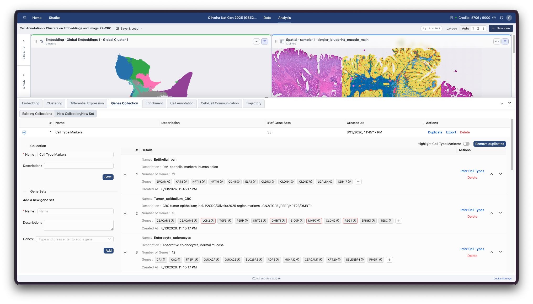 Genes Collection, step 8: Manage your collections