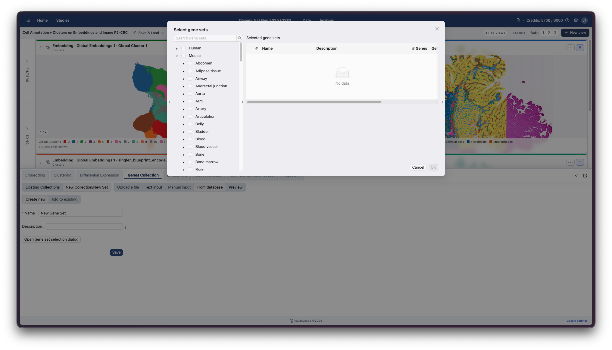 Genes Collection, step 6: Take gene sets from the database