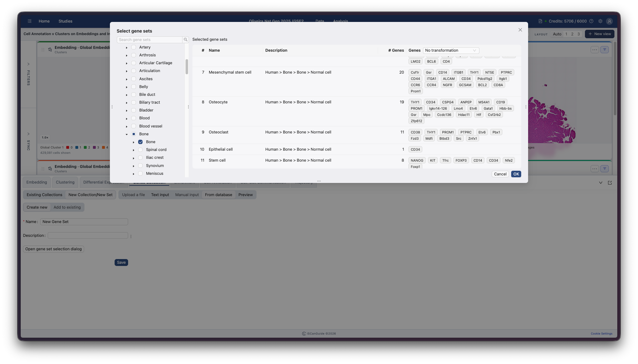 Genes Collection, step 7: Preview before saving