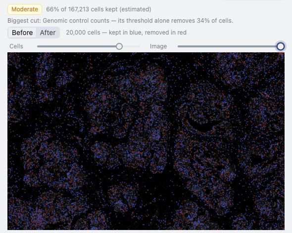 Create Study and Upload Data, step 17: Tissue image