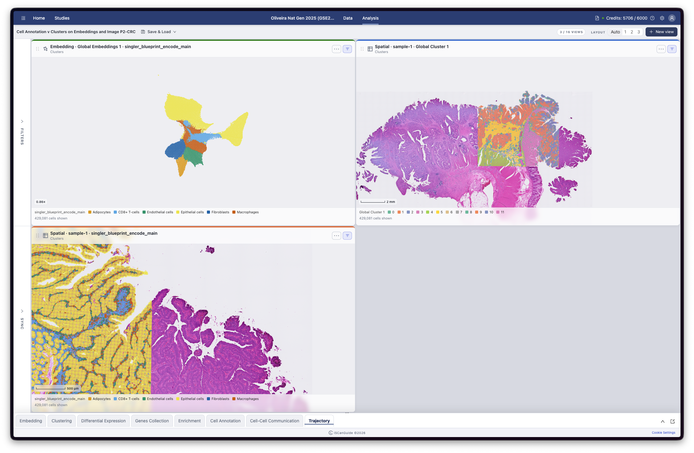 Visualization, step 1: The analysis page