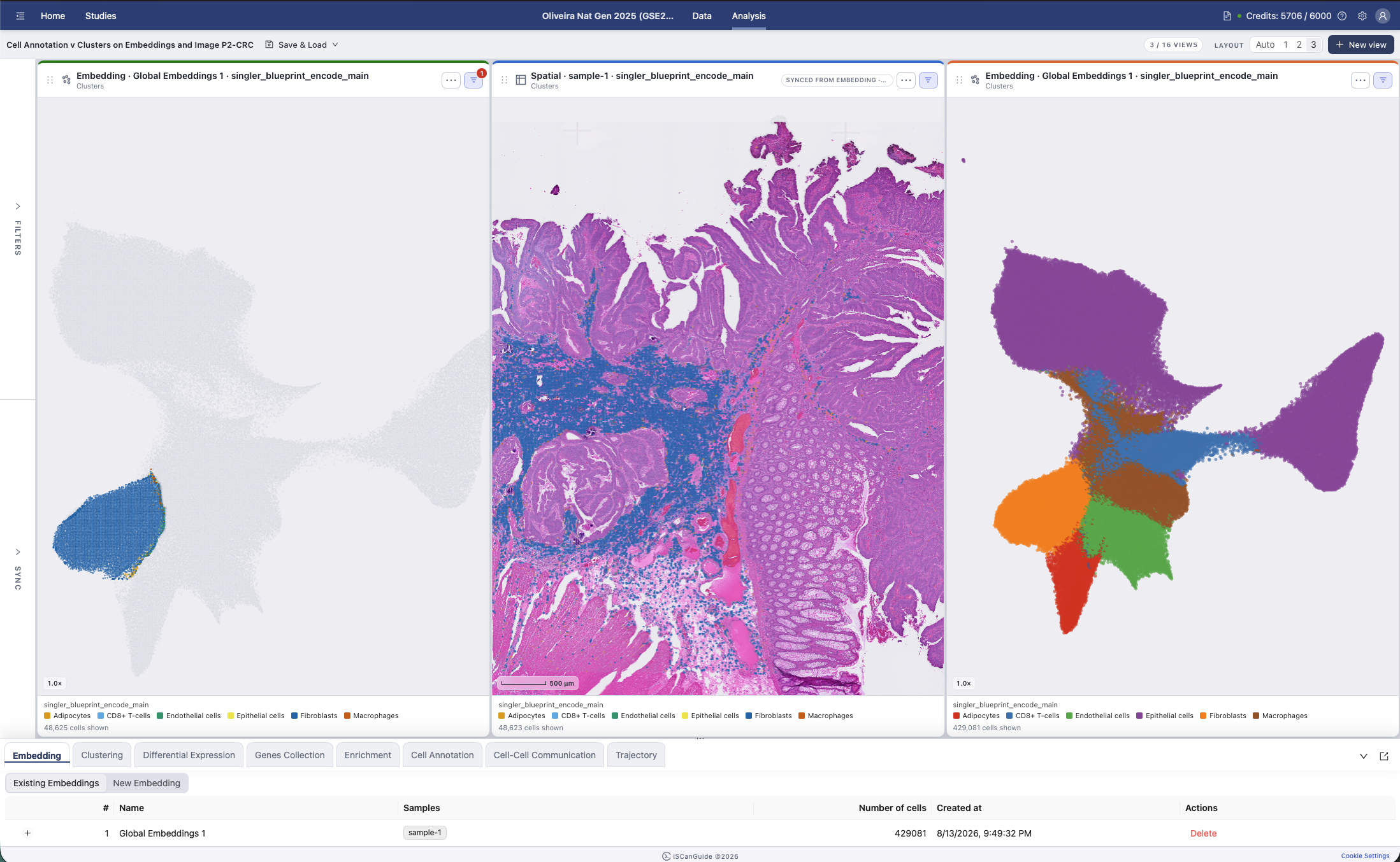 Visualization, step 7: Arrange your views
