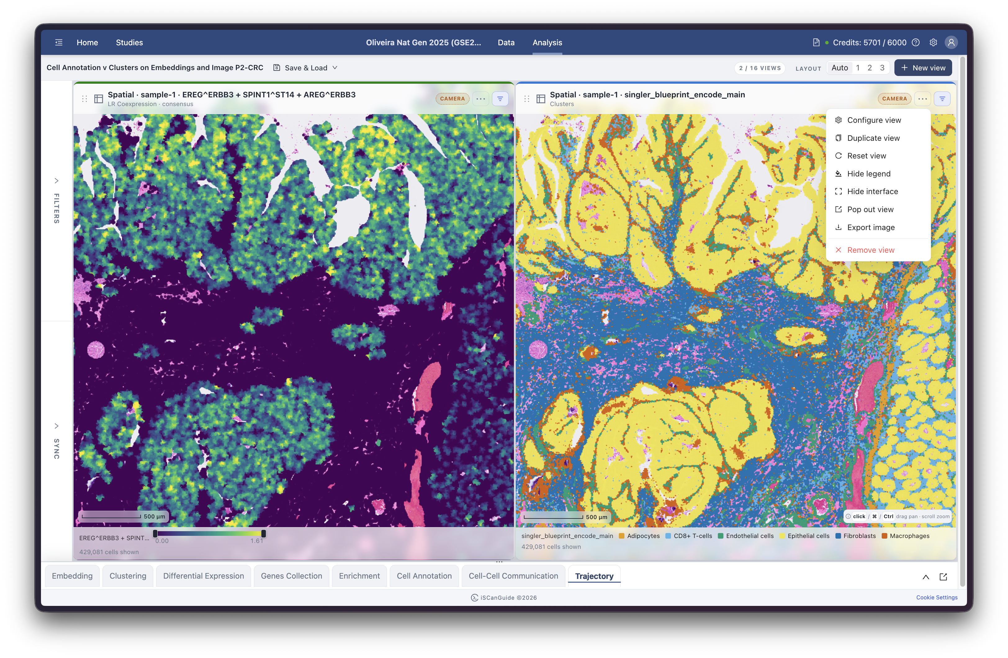 Visualization, step 8: Work with a single view